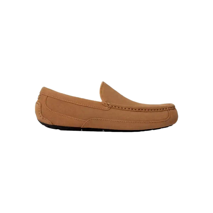 UGG Ascot Chestnut  1101110-CHE Men's
