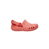 Crocs Salehebembury x Crocs Pollex Clog Begonia  208600-6WN Pre-School