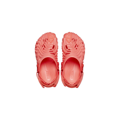 Crocs Salehebembury x Crocs Pollex Clog Begonia  208600-6WN Pre-School