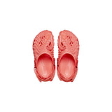 Crocs Salehebembury x Crocs Pollex Clog Begonia  208600-6WN Pre-School