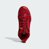 Adidas Harden Vol. 5 Futurenatura Team Power Red/Team Maroon/Solar Red  H68595 Men's