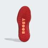 Adidas Harden Vol. 5 Futurenatura Team Power Red/Team Maroon/Solar Red  H68595 Men's